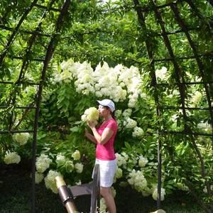 Meet your Posher, Svetlana